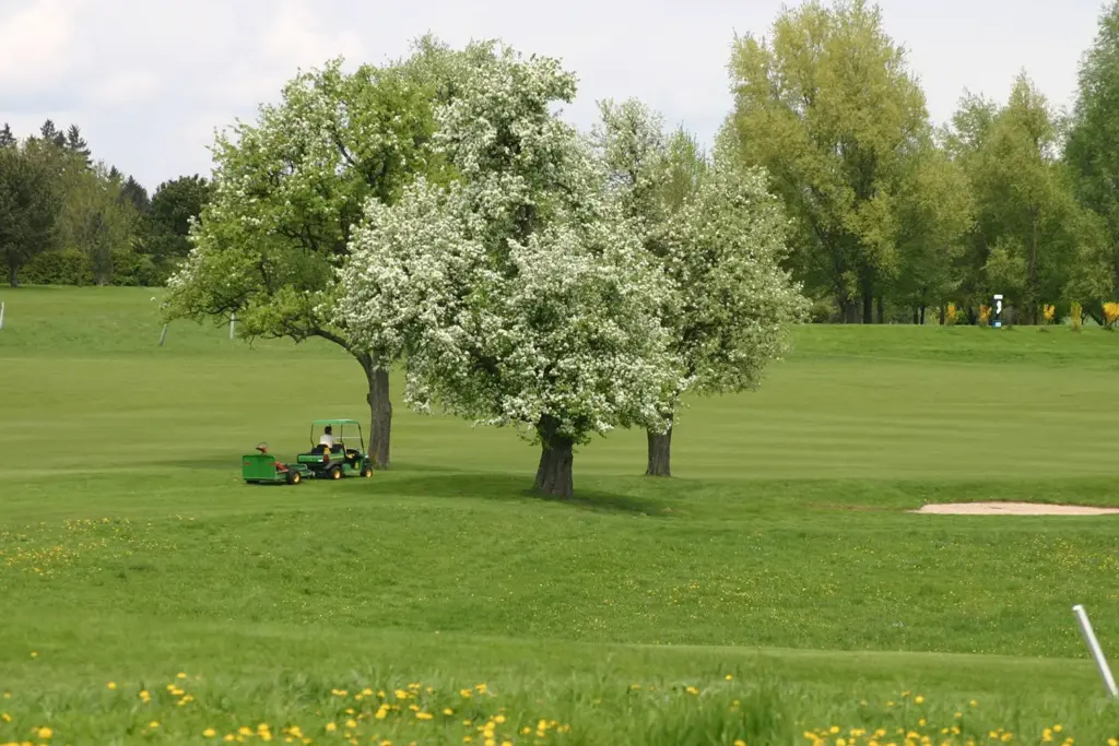 Greenkeeper mäht rasen auf Loch 9